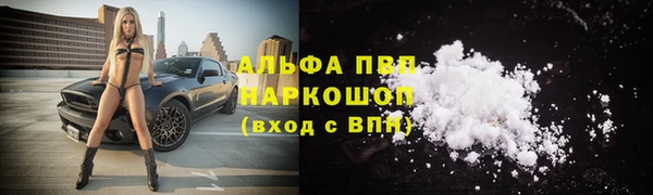 дживик Балахна