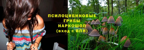 МДПВ Осинники