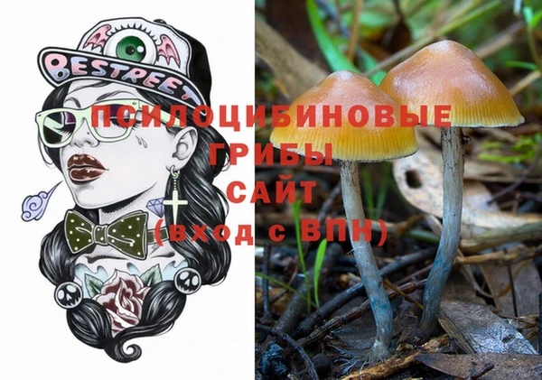 дживик Балахна