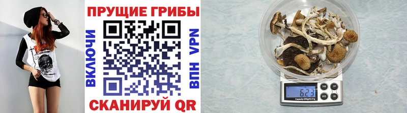 мега онион  Строитель  Галлюциногенные грибы GOLDEN TEACHER 